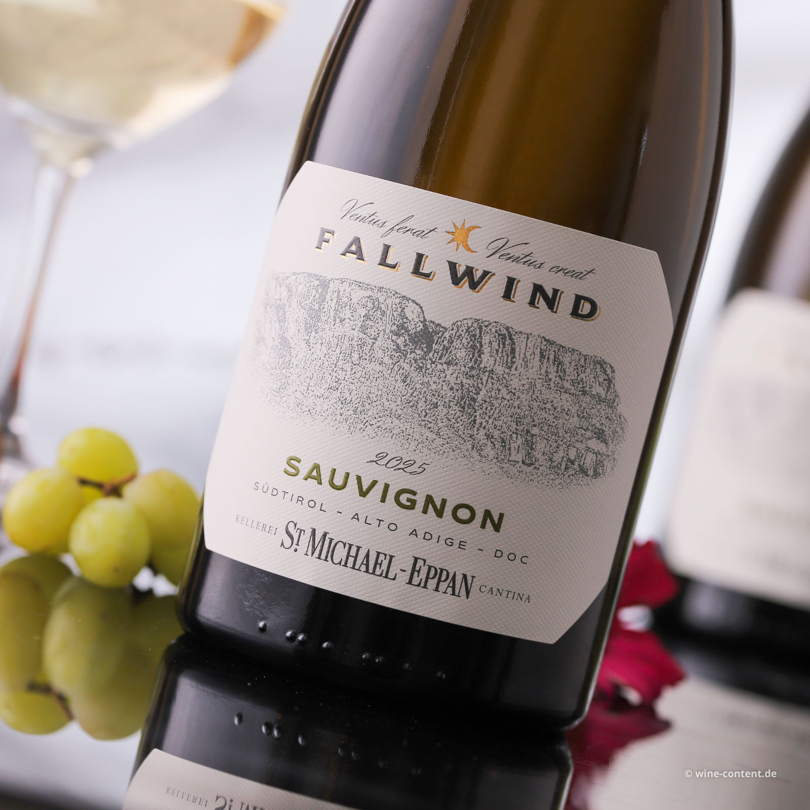 Sauvignon Blanc 2025 Fallwind