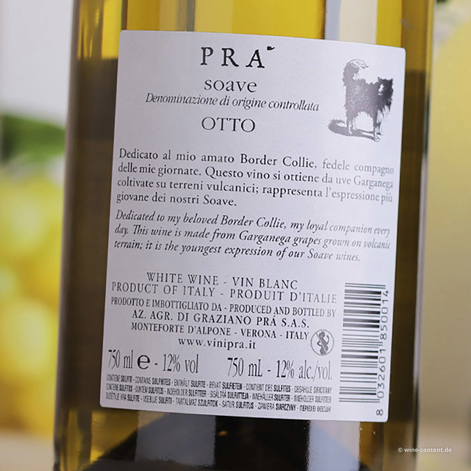 Soave 2025 Otto Bio