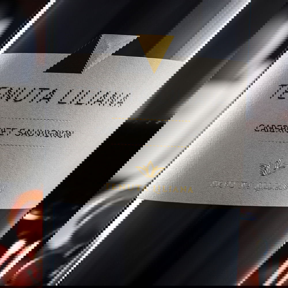 Cabernet Sauvignon Salento 2023