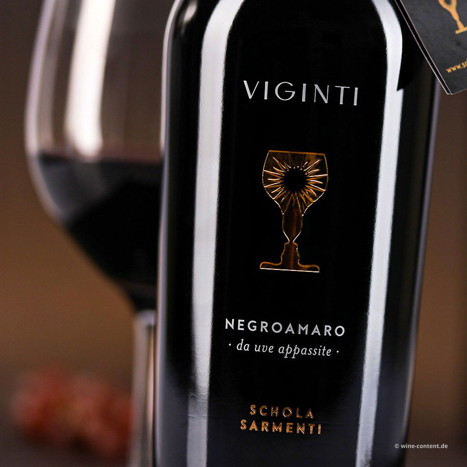 Negroamaro Salento Appassite 2019 Viginti