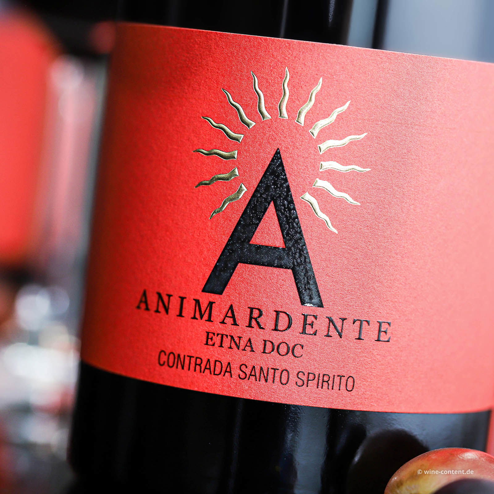 Etna Rosso 2019 Animardente