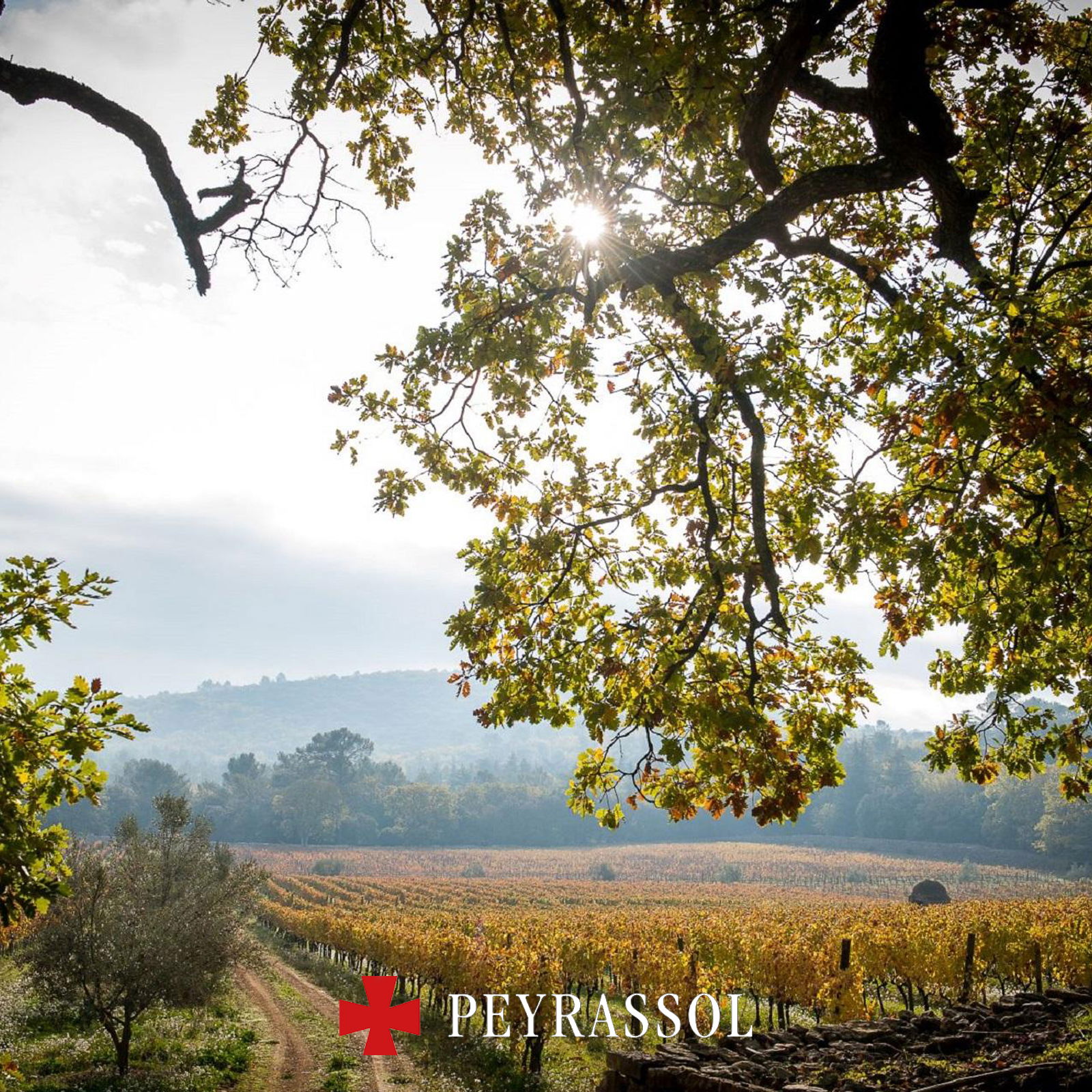 Méditerranée Rosé 2025 La Croix Bio