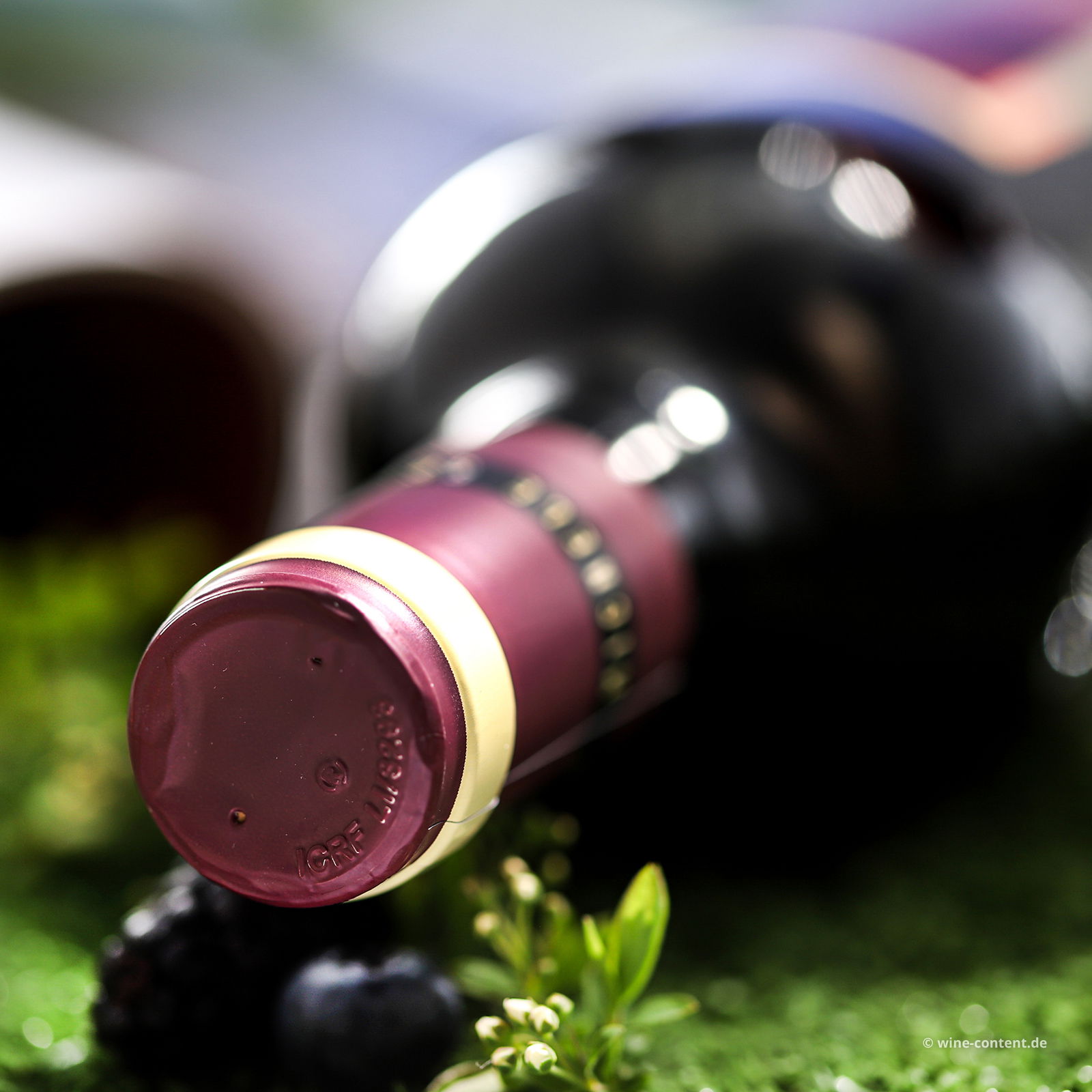 Bolgheri Superiore 2022 Piastraia