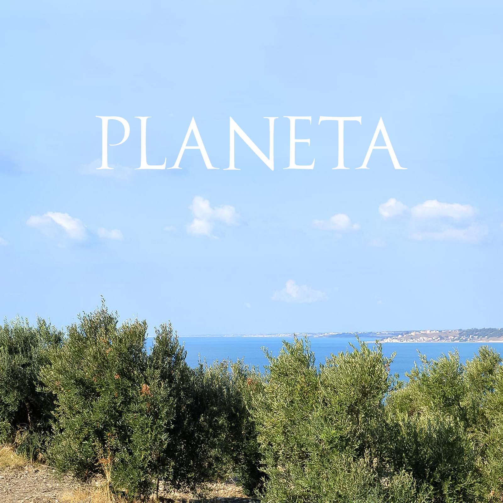 Chardonnay Sicilia Menfi 2024 Bio