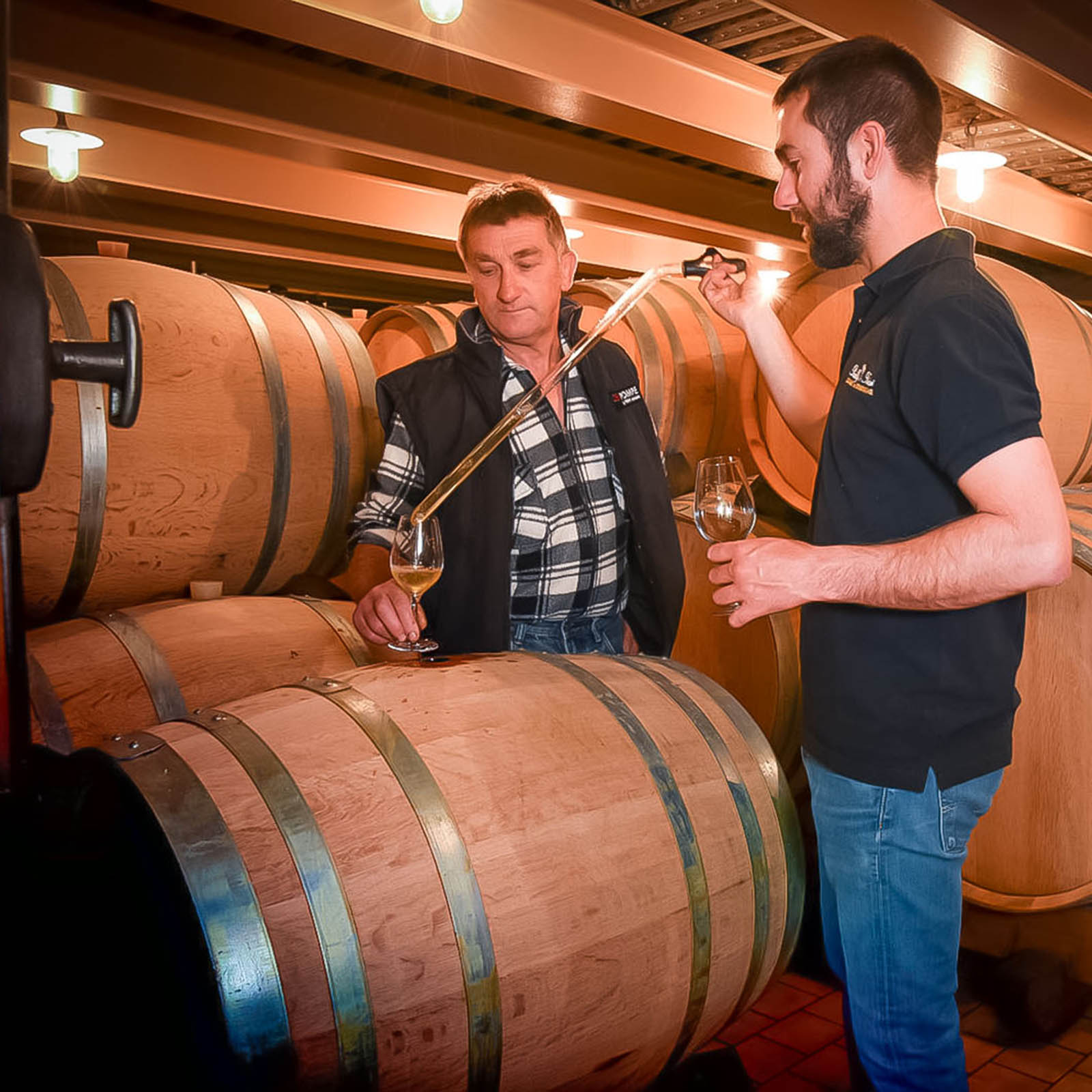 Pouilly-Fuissé 2023 Vieilles Vignes