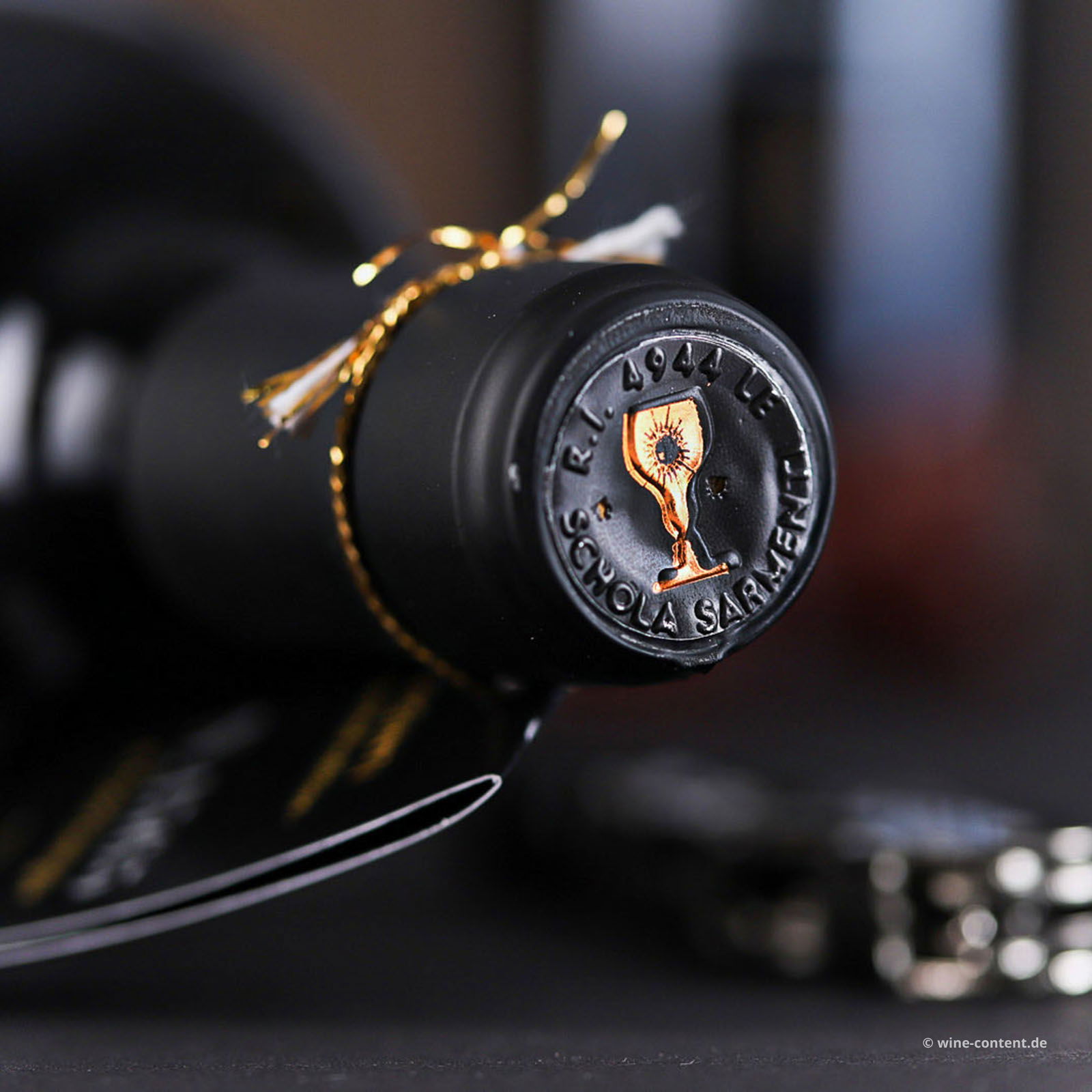 Negroamaro Salento Appassite 2019 Viginti