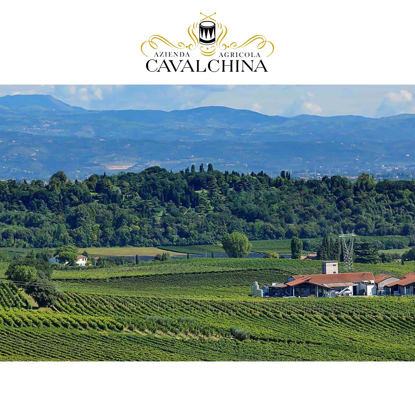 Custoza Riserva 2022 Rabitta