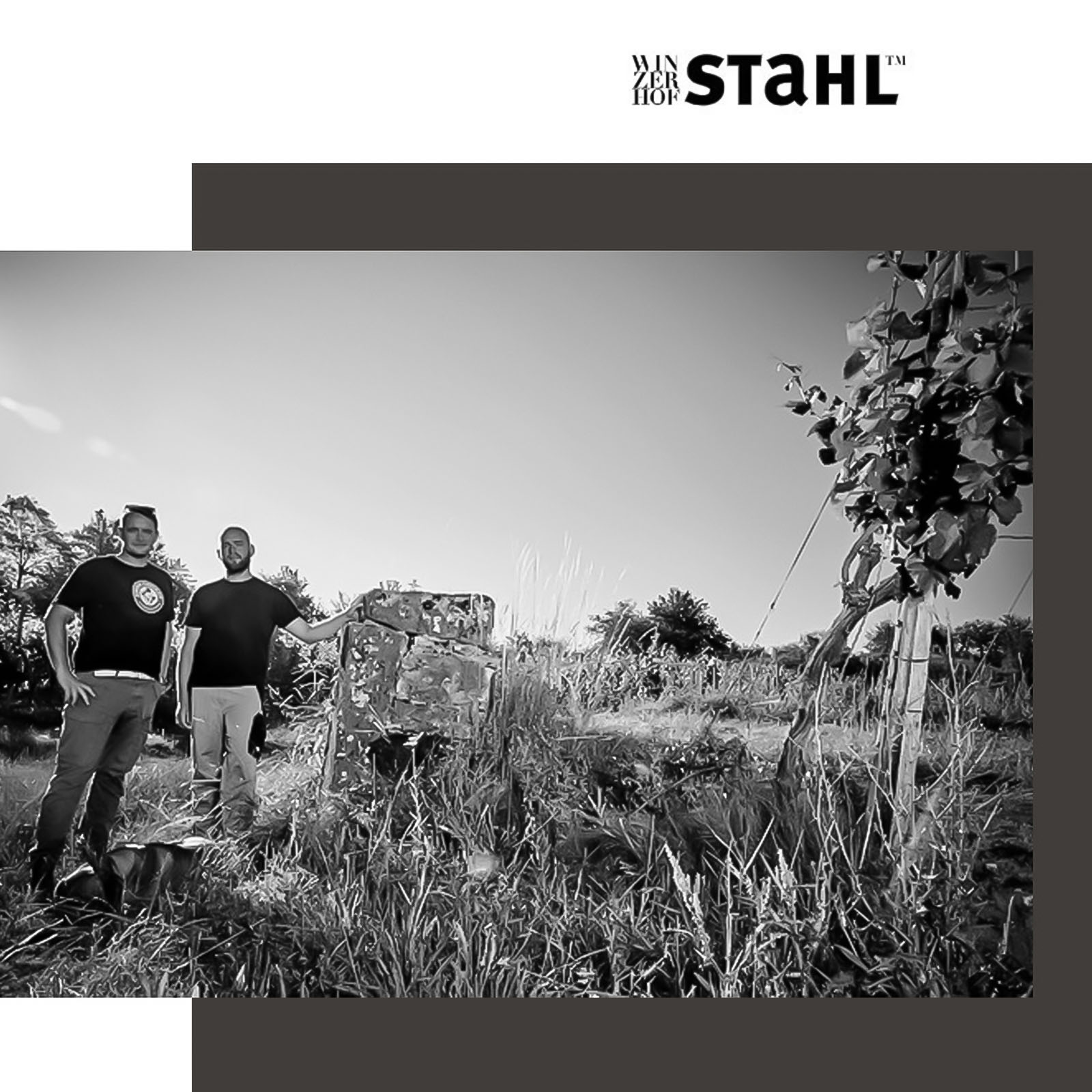 Scheurebe 2023 Cyriakusberg