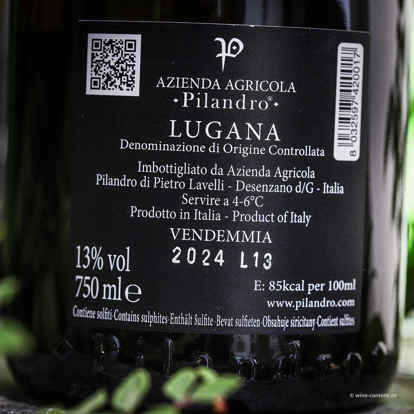 Lugana 2024 TereCrèa