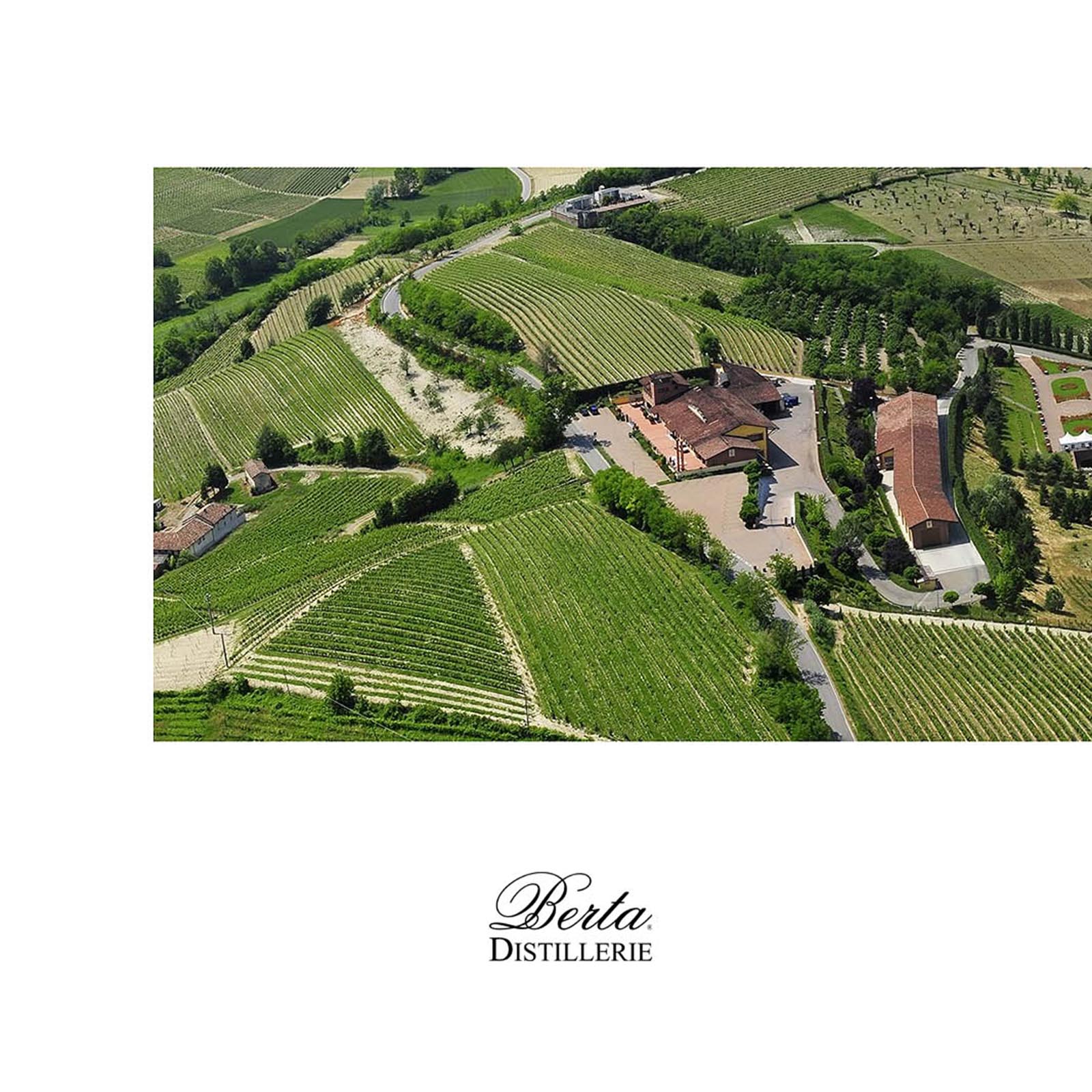 Grappa Bric del Gaian 2016 (Moscato)