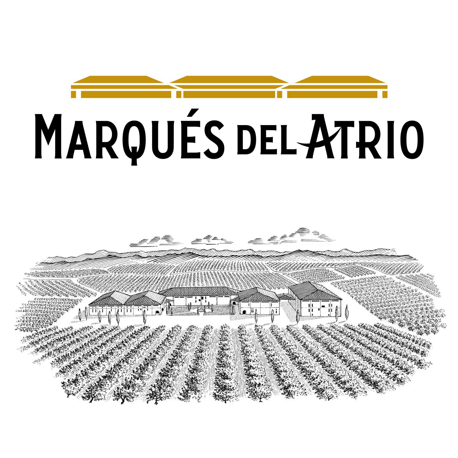 Rioja Blanco 2020 2 Cepas