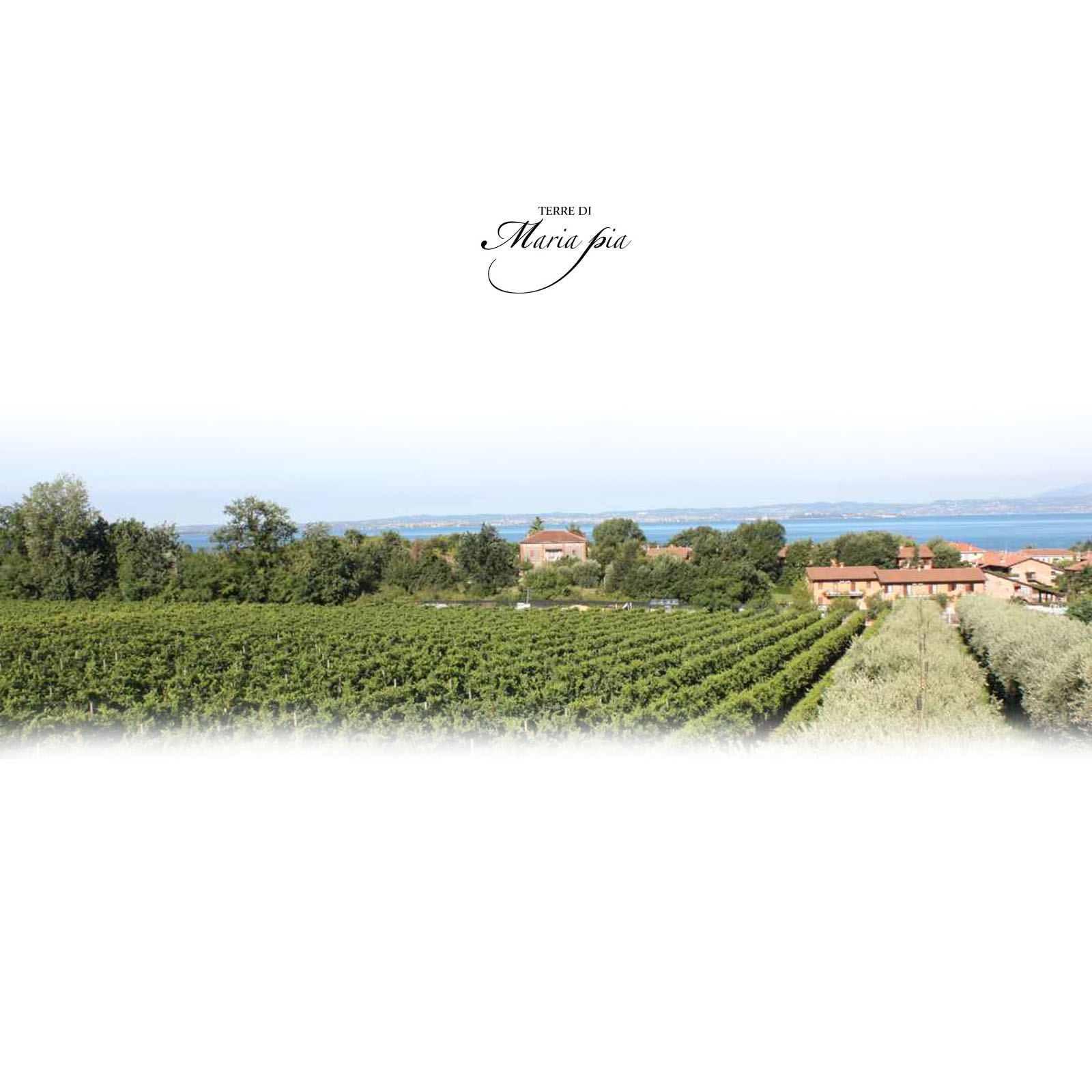 Chiaretto di Bardolino Classico 2024 Matié