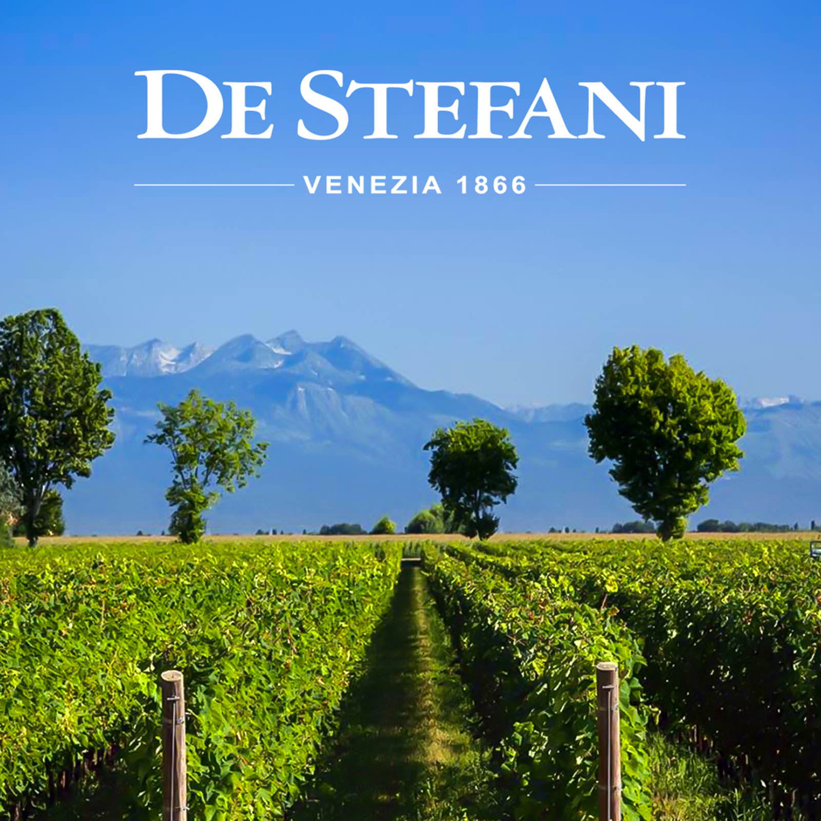 Prosecco Superiore Rive di Refrontolo 2023 Extra Brut