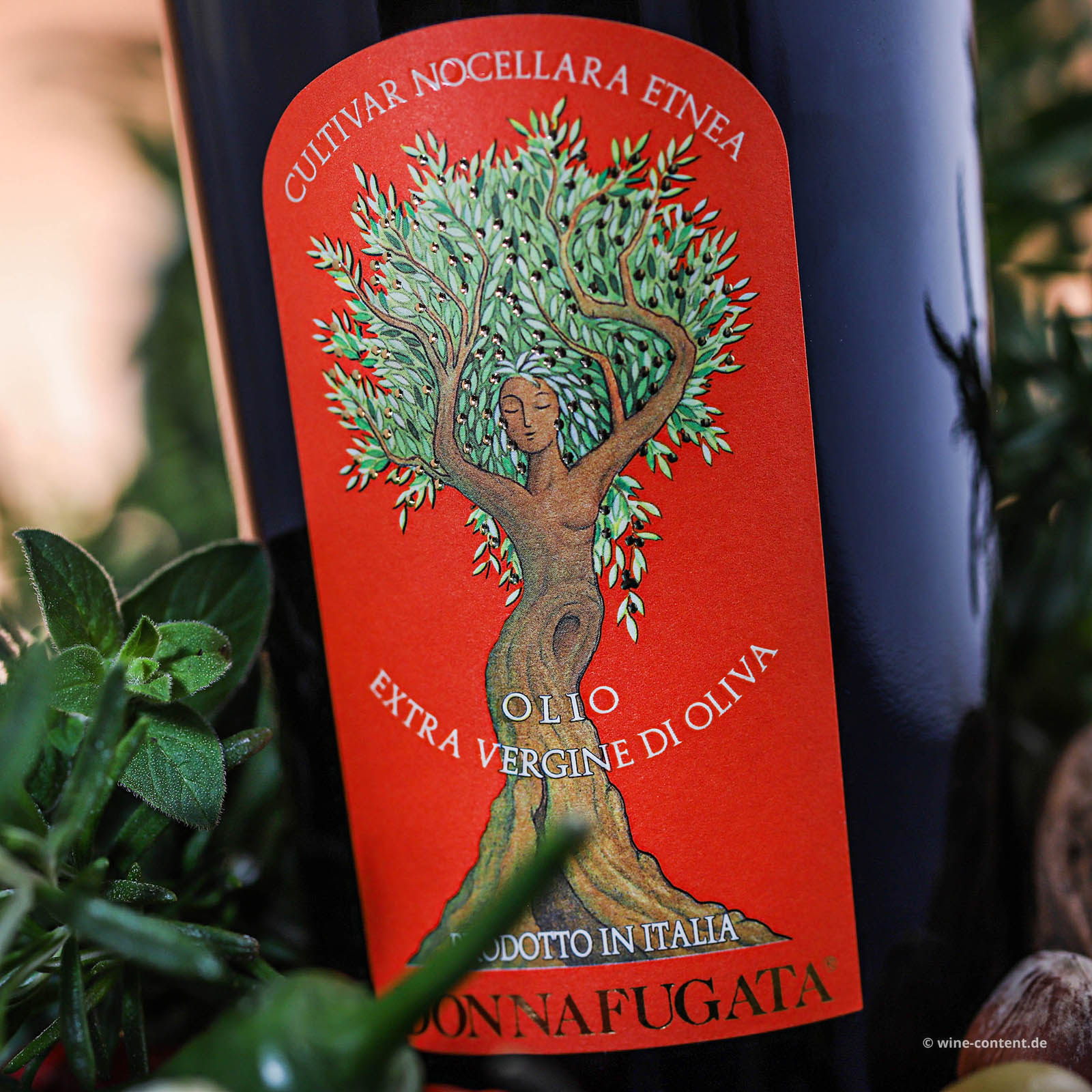 0,5 L Olivenöl Extra Vergine 2025 Nocellara