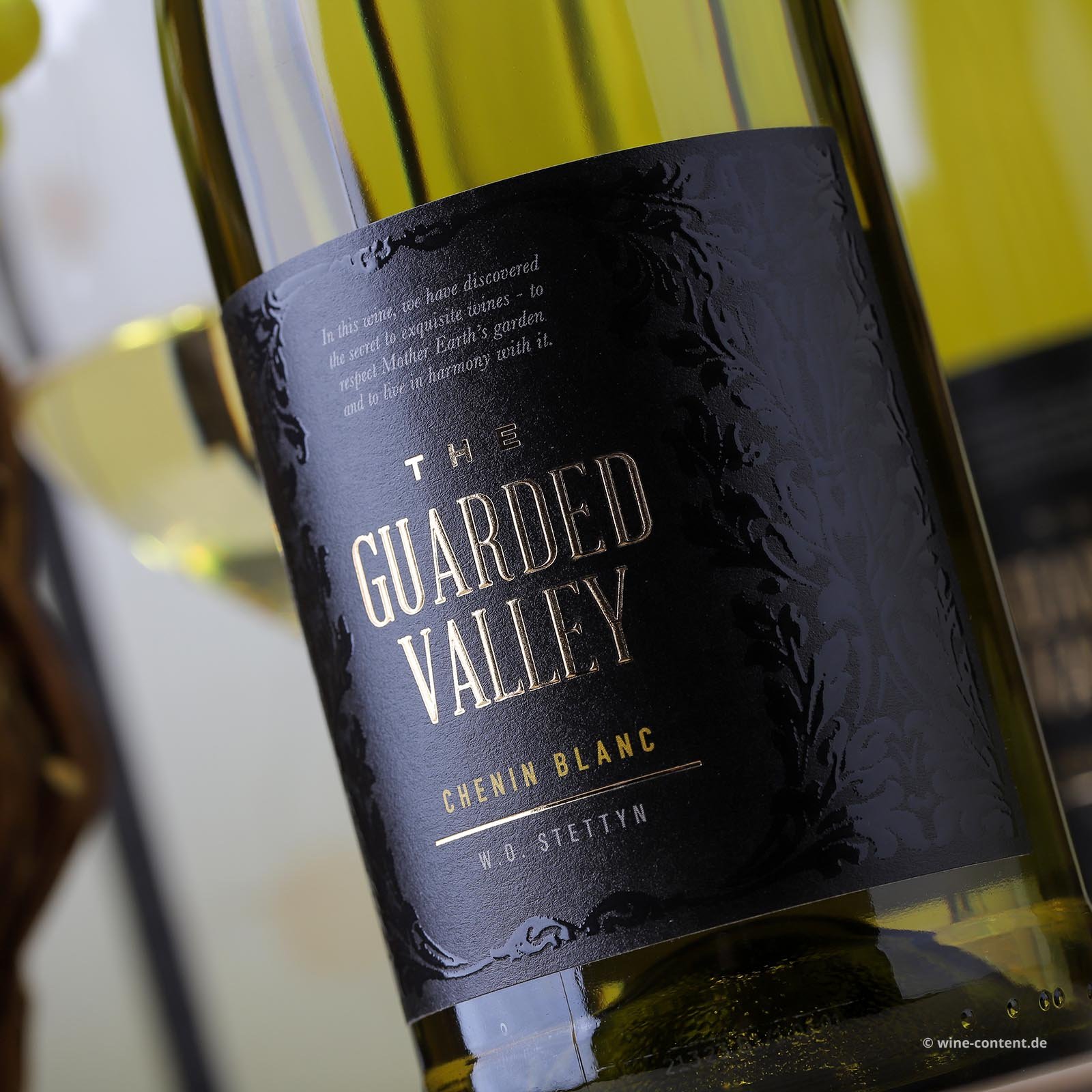 Chenin Blanc 2023 The Guarded Valley