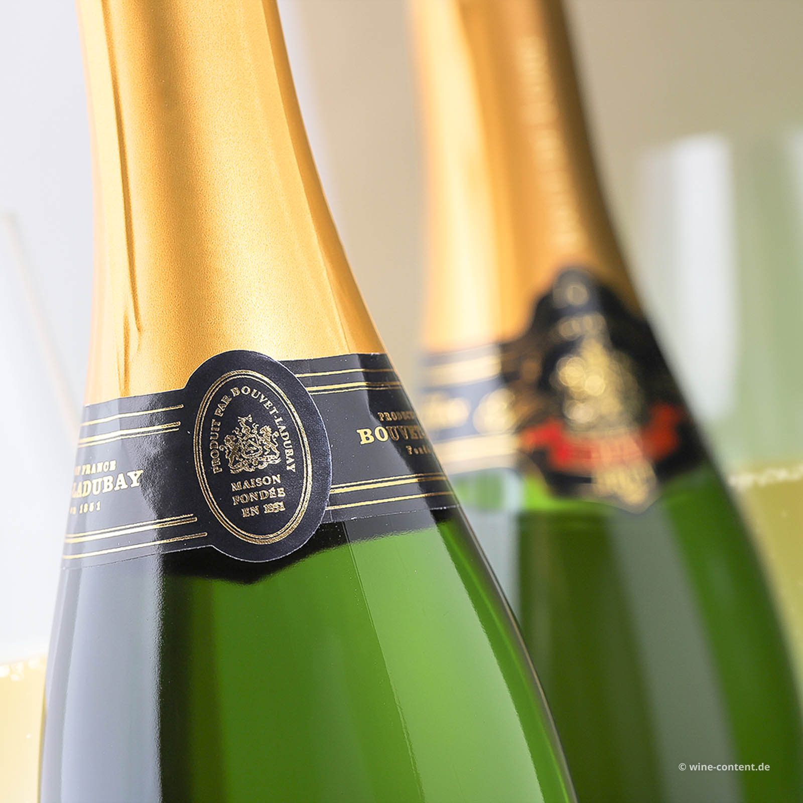 Crémant de Loire Excellence Brut