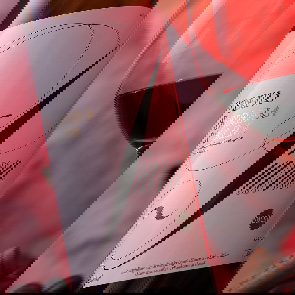 Barbera d'Alba 2023 Piana Bio