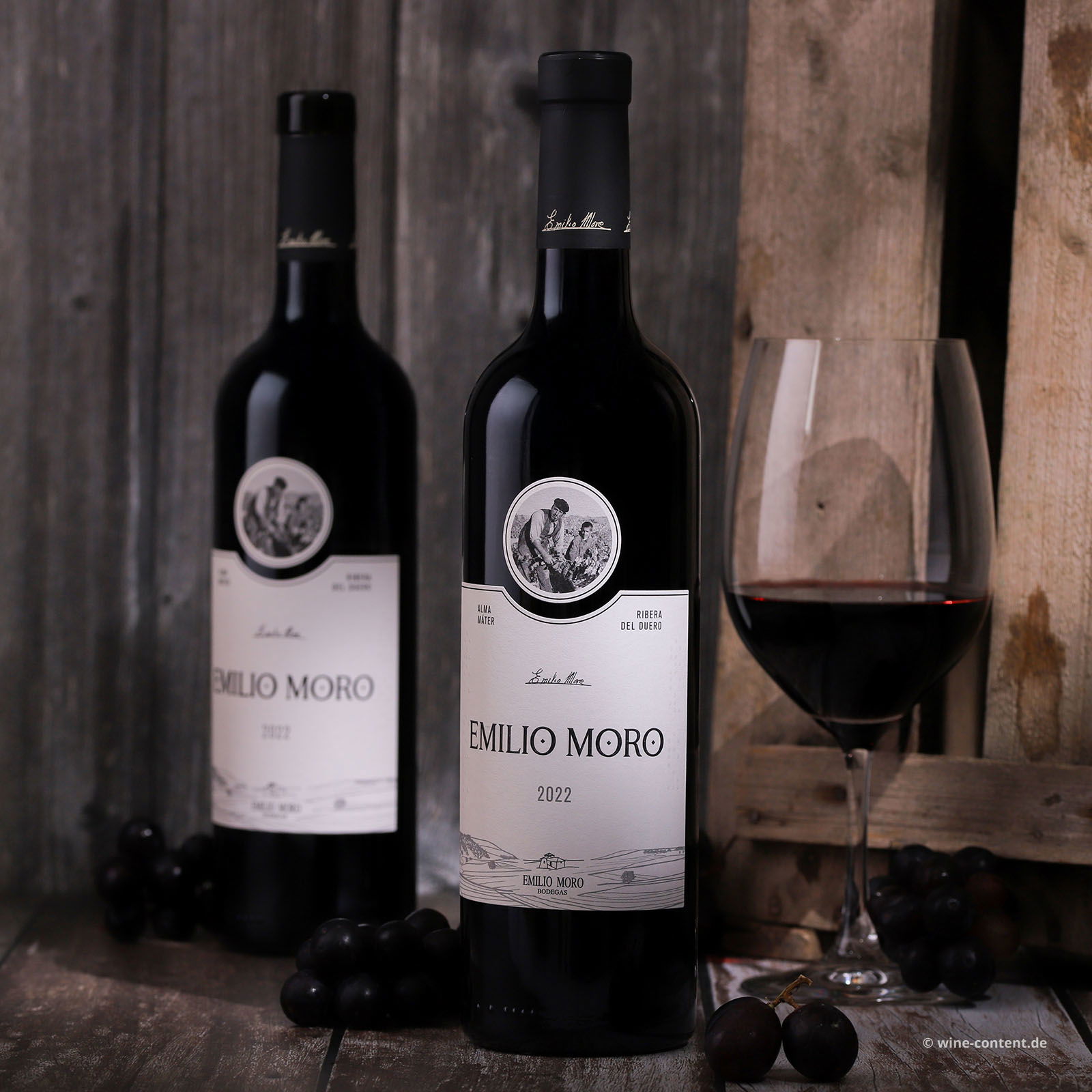 Tempranillo 2022 Emilio Moro