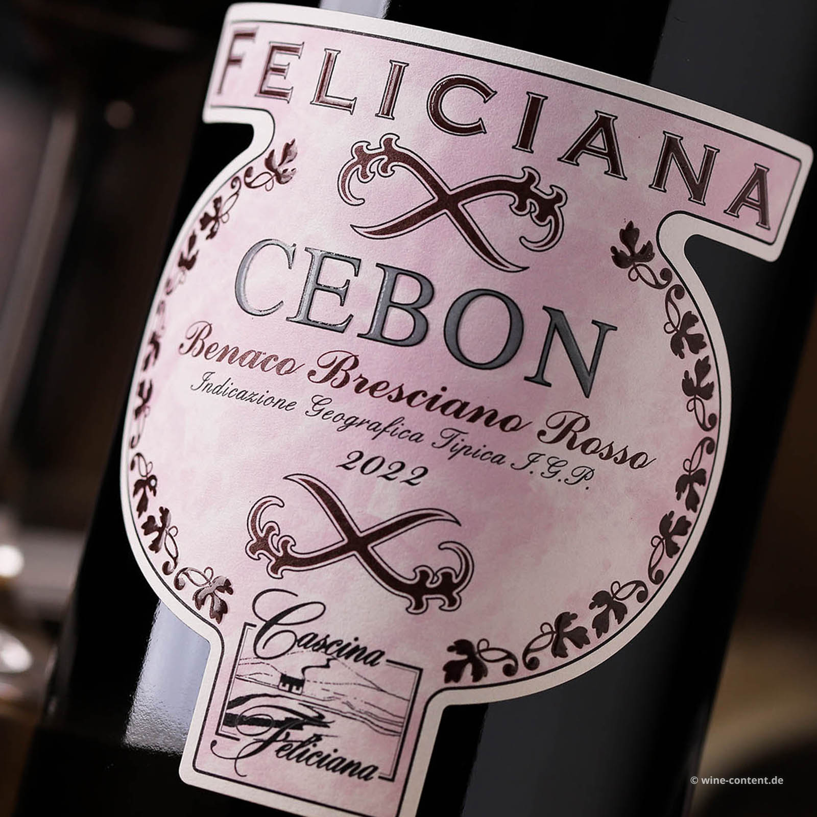Benaco Bresciano Rosso 2022 Cebon