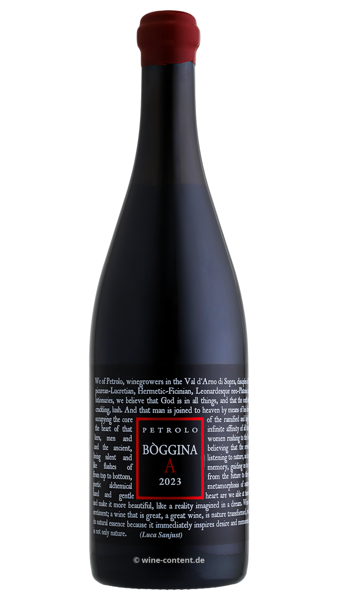 Bòggina Amphore 2023 Bio