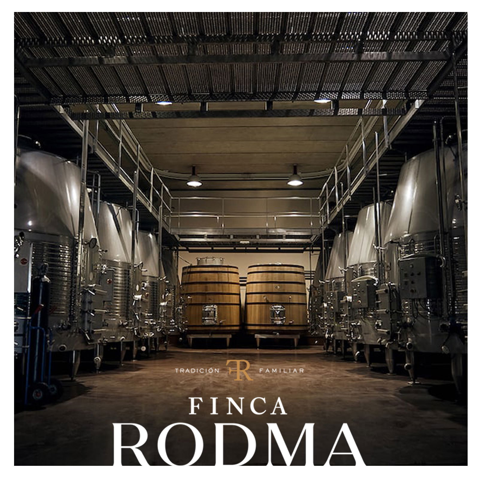 Tempranillo 2019 Avizor