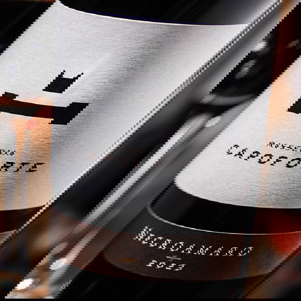 Negroamaro Salento 2023