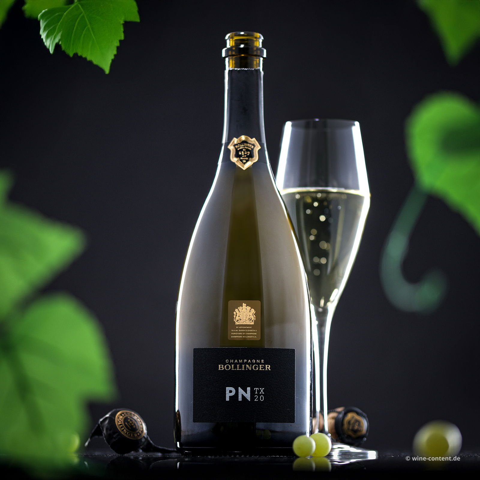 Champagner PN TX20 Brut