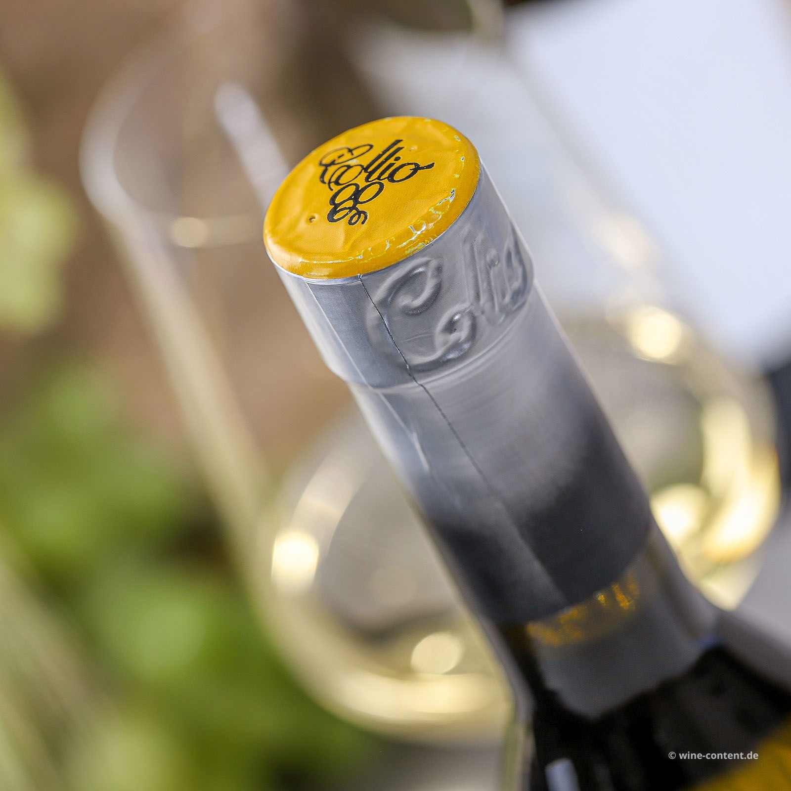 Pinot Bianco Collio 2023