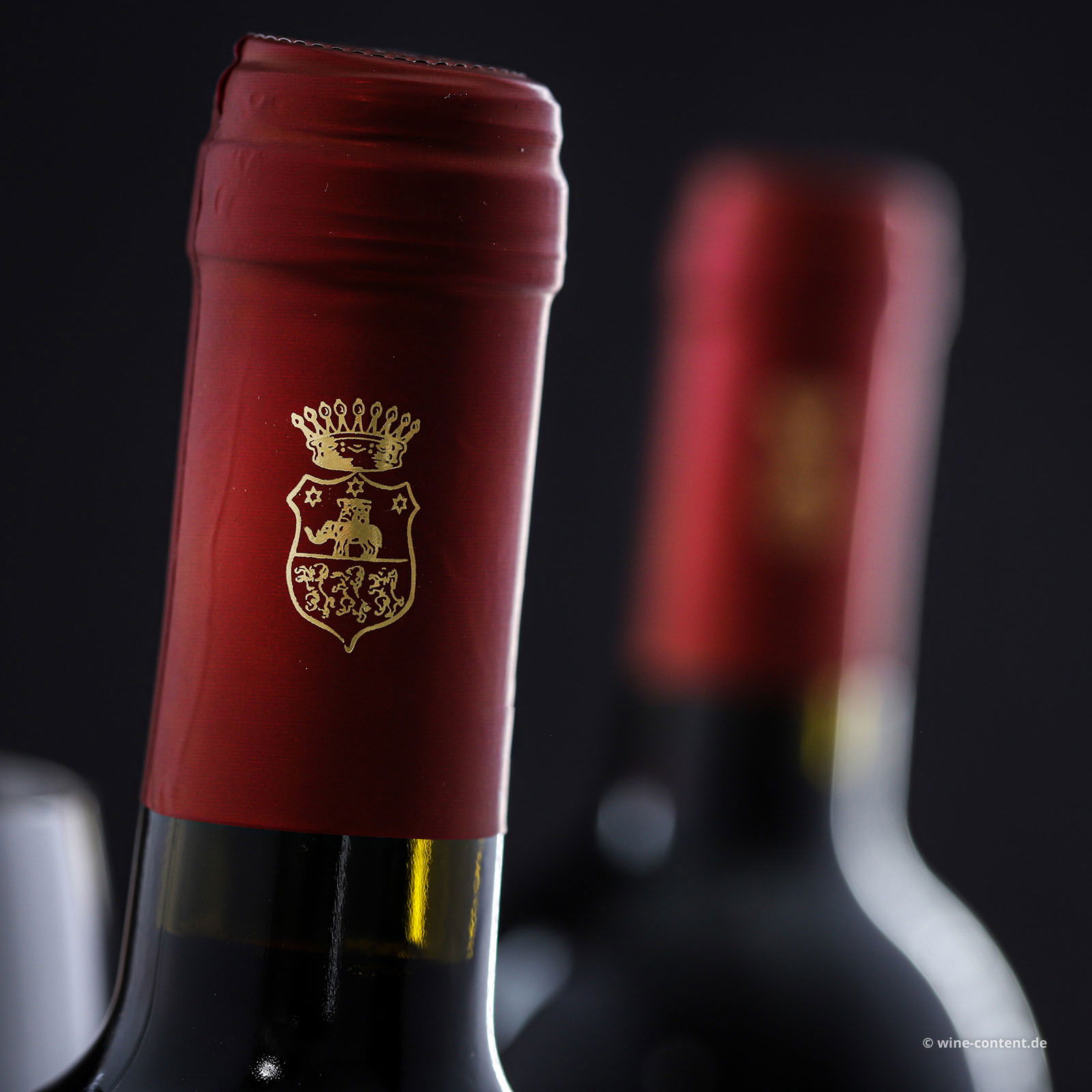 Umbria Rosso 2022 Rubicola Bio