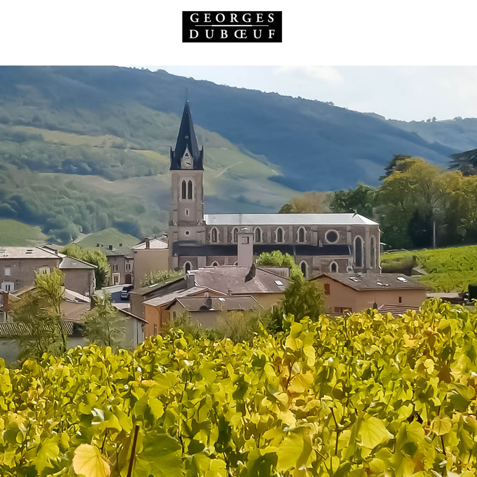 Beaujolais Villages 2025 Nouveau