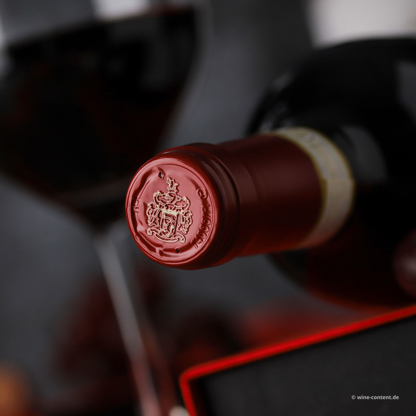 Chianti Colli Fiorentini Riserva 2019 Terre di Cino