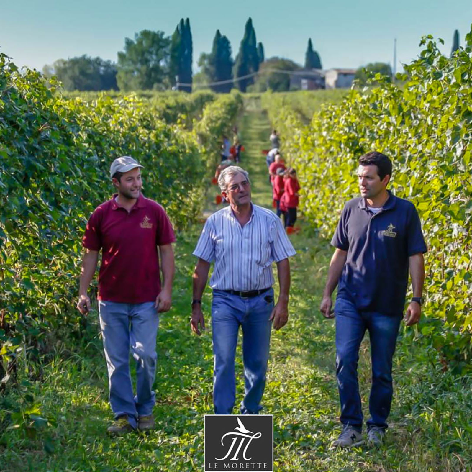 Lugana 2024 Benedictus