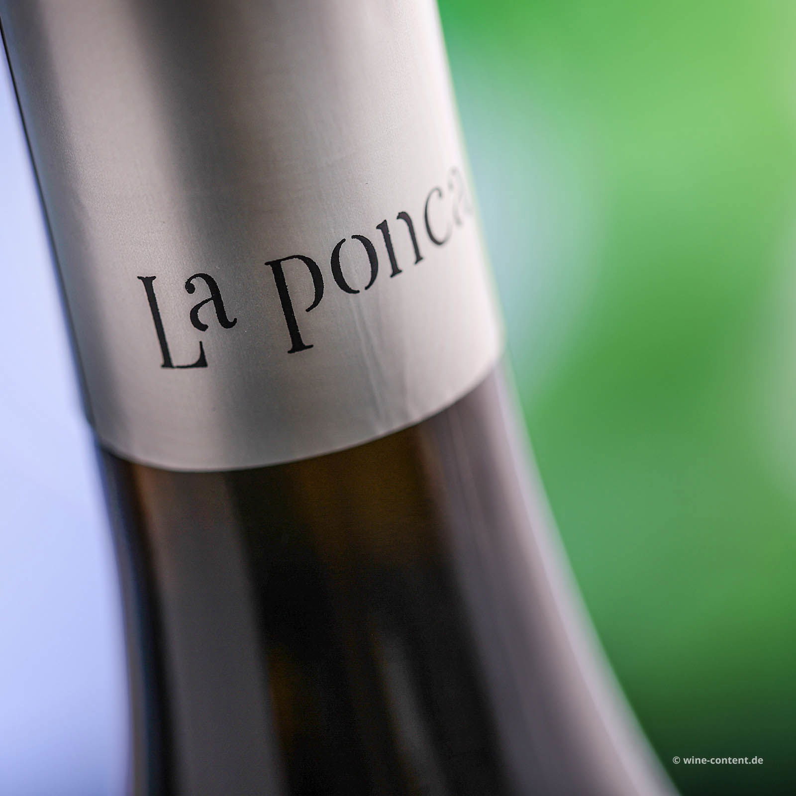 Sauvignon Collio 2022 Bio