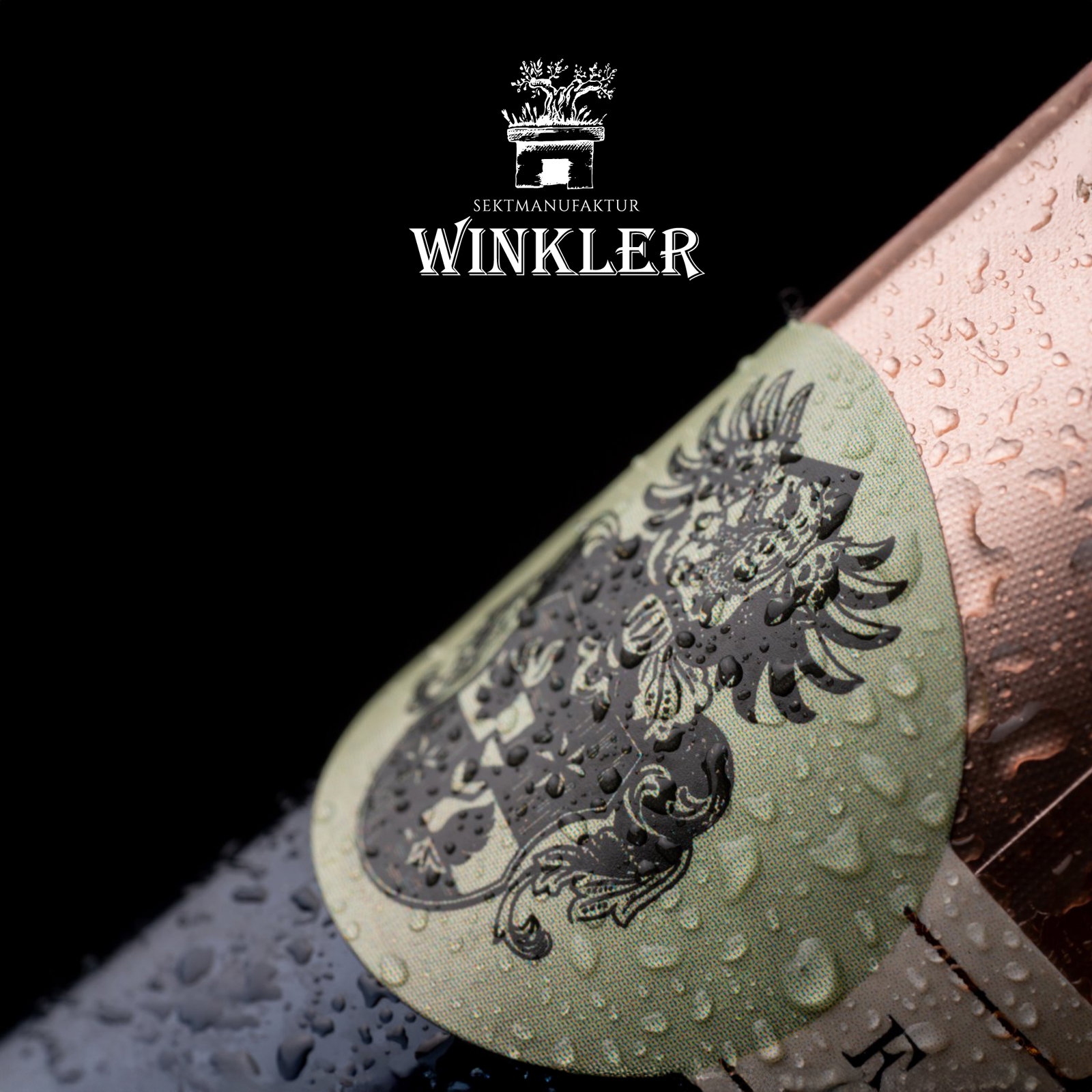 3er-Paket Spumante Rosé Lamm N°12 Extra Brut in Einzelverpackung