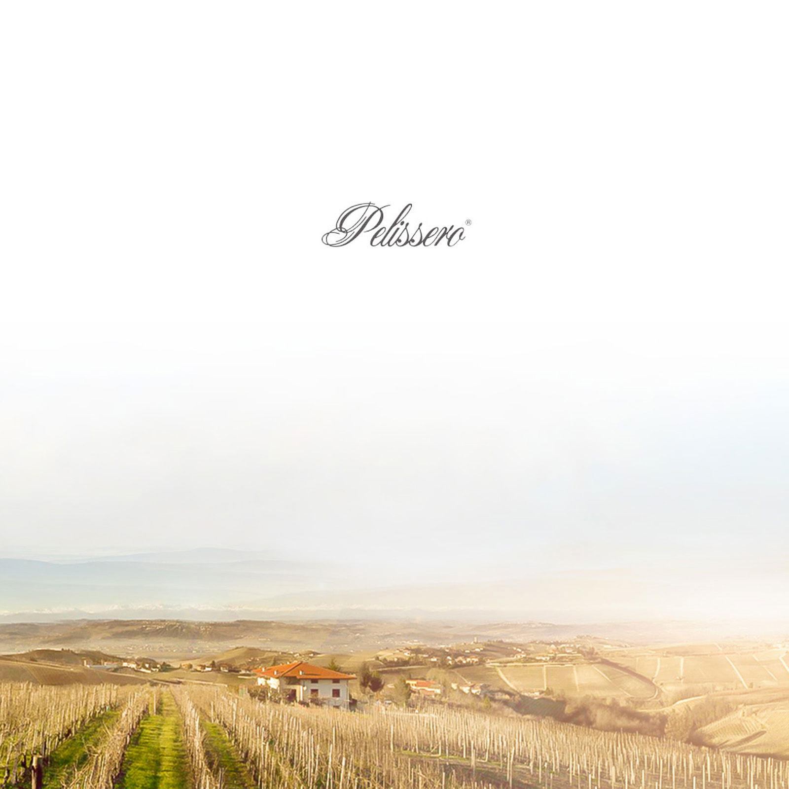 Barbaresco 2019 Nubiola