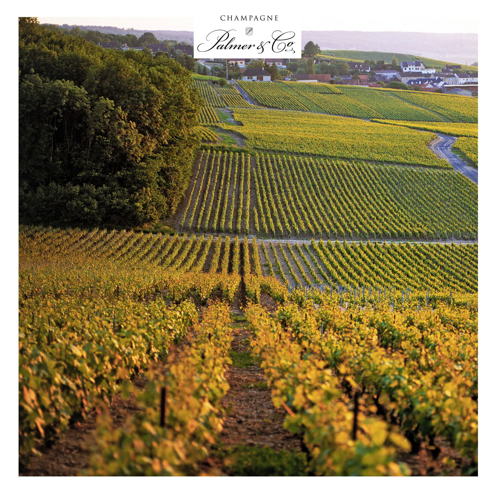 Champagner Rosé Solera Brut