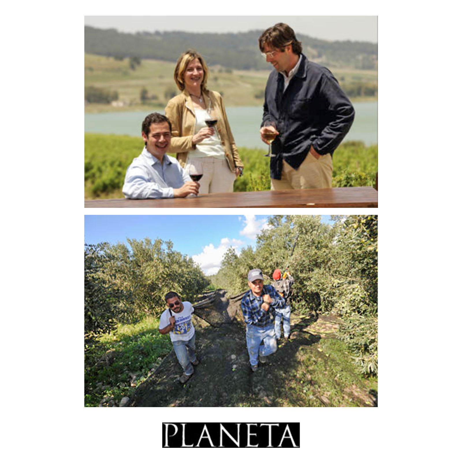 Chardonnay Sicilia Menfi 2023 Bio