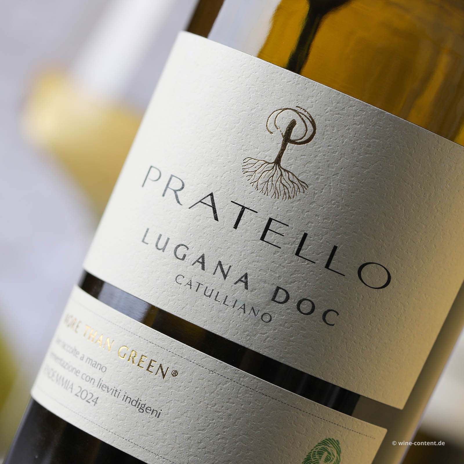 Lugana 2024 Catulliano