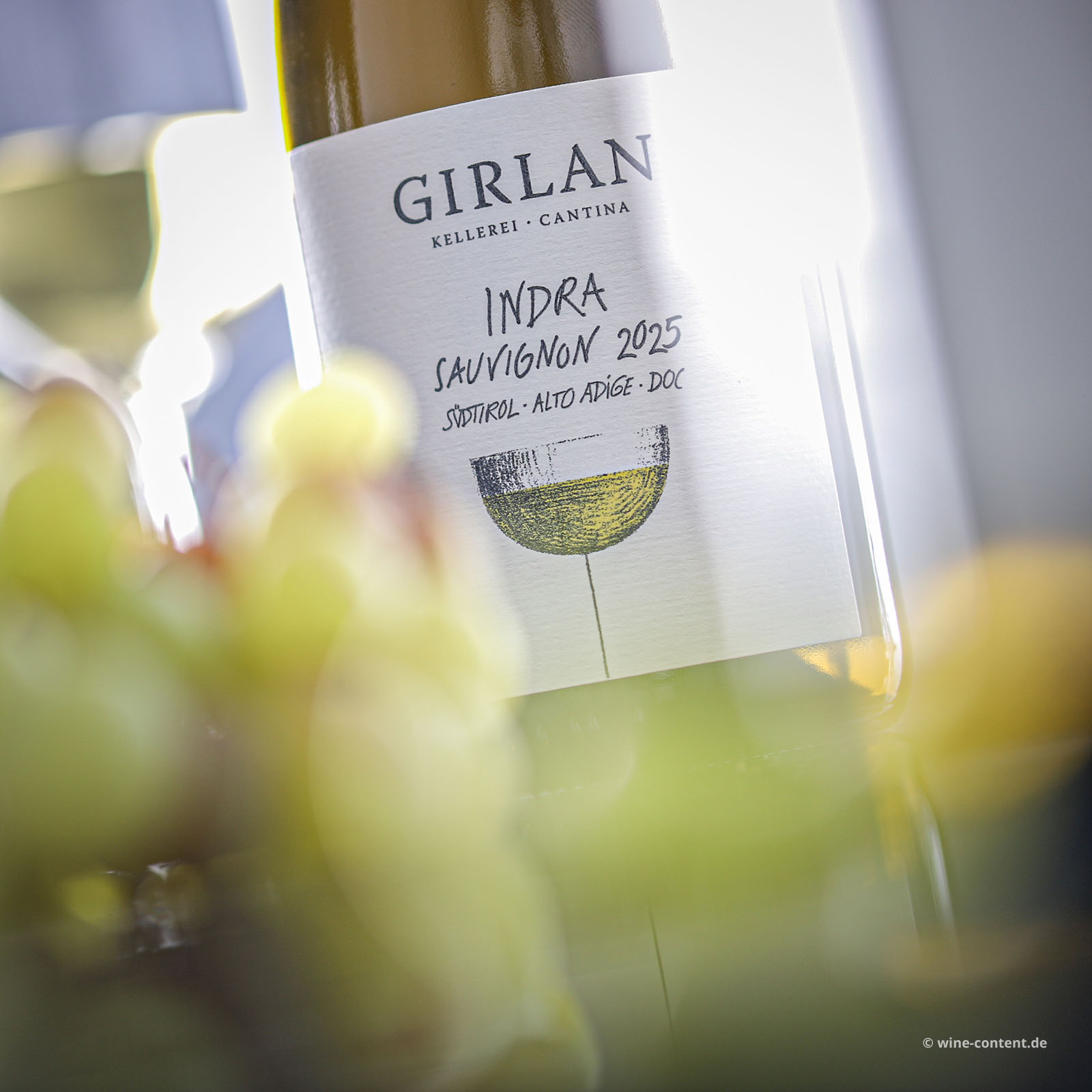Sauvignon Blanc 2025 Indra