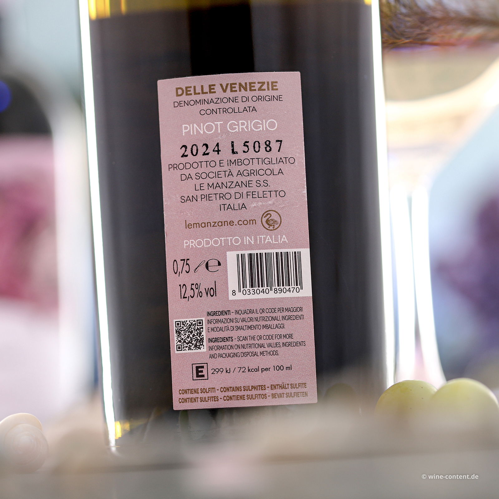 Pinot Grigio delle Venezie 2024