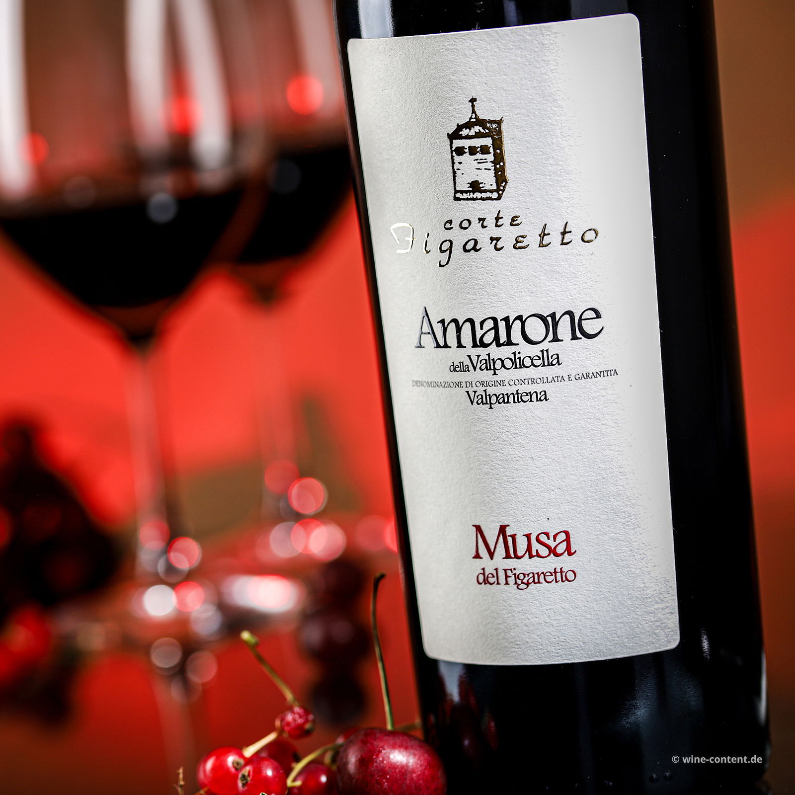Amarone Valpantena 2019 Musa del Figaretto