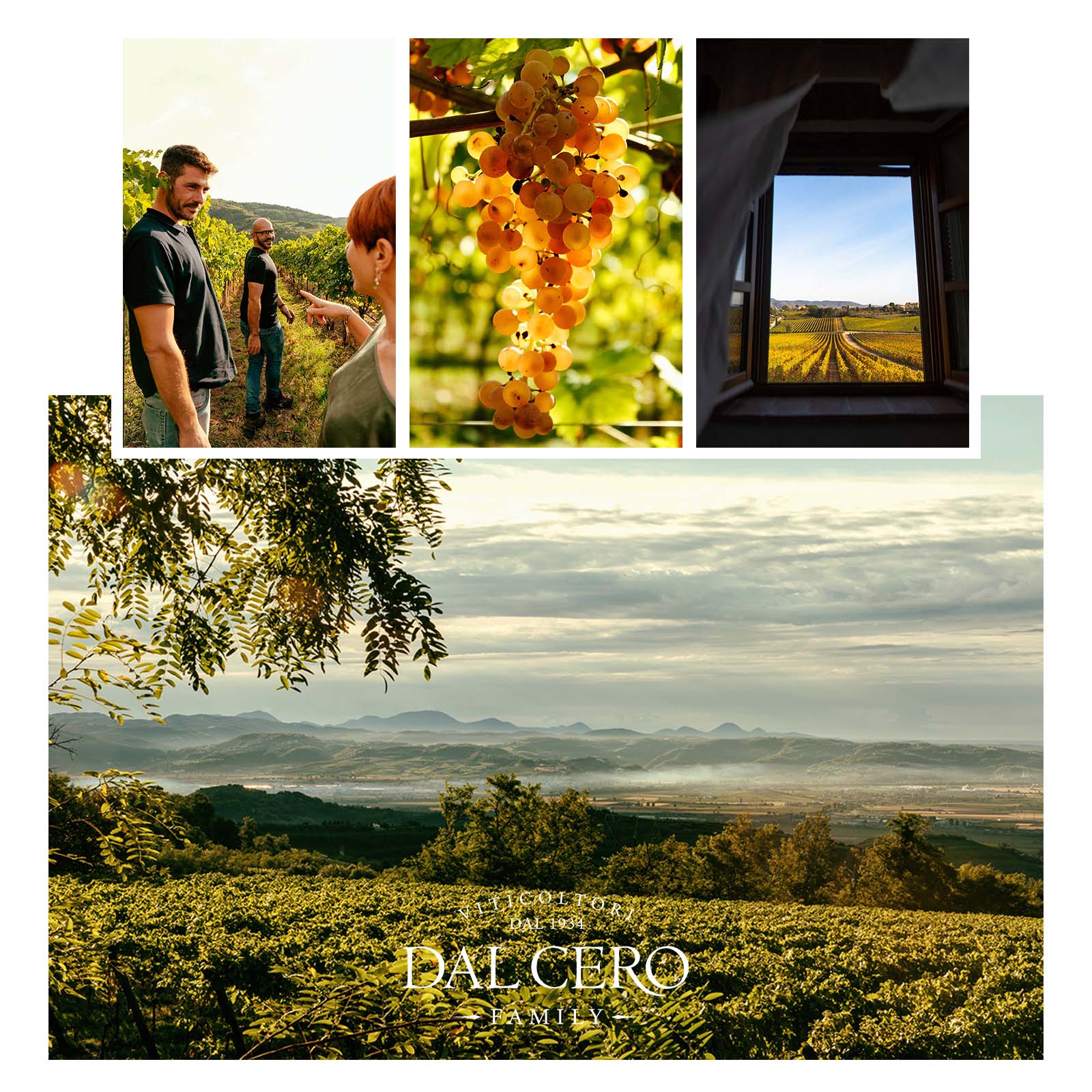 6er-Holzkiste Syrah Cortona 2021 Tenuta Montecchiesi Klanis