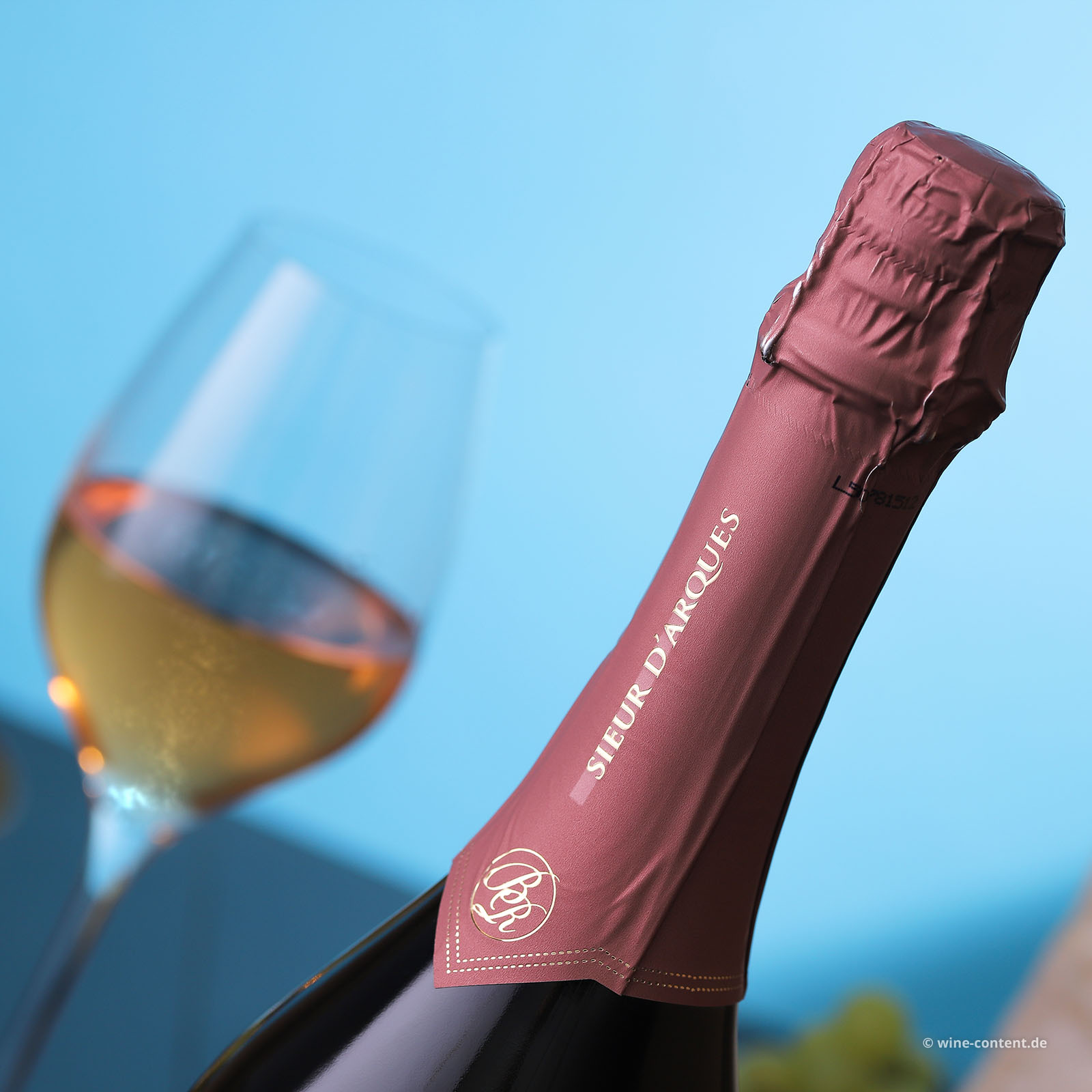 Crémant de Limoux Blason Rouge Rosé Brut