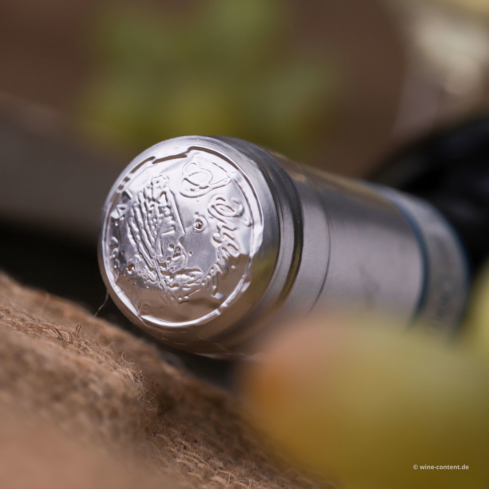 Lugana 2025 Santa Cristina