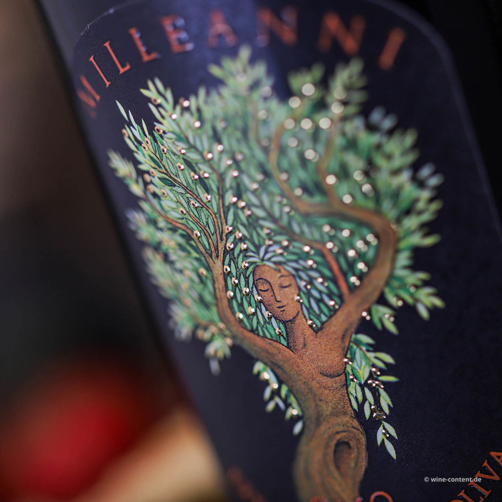 0,5 L Olivenöl Extra Vergine 2025 Milleanni