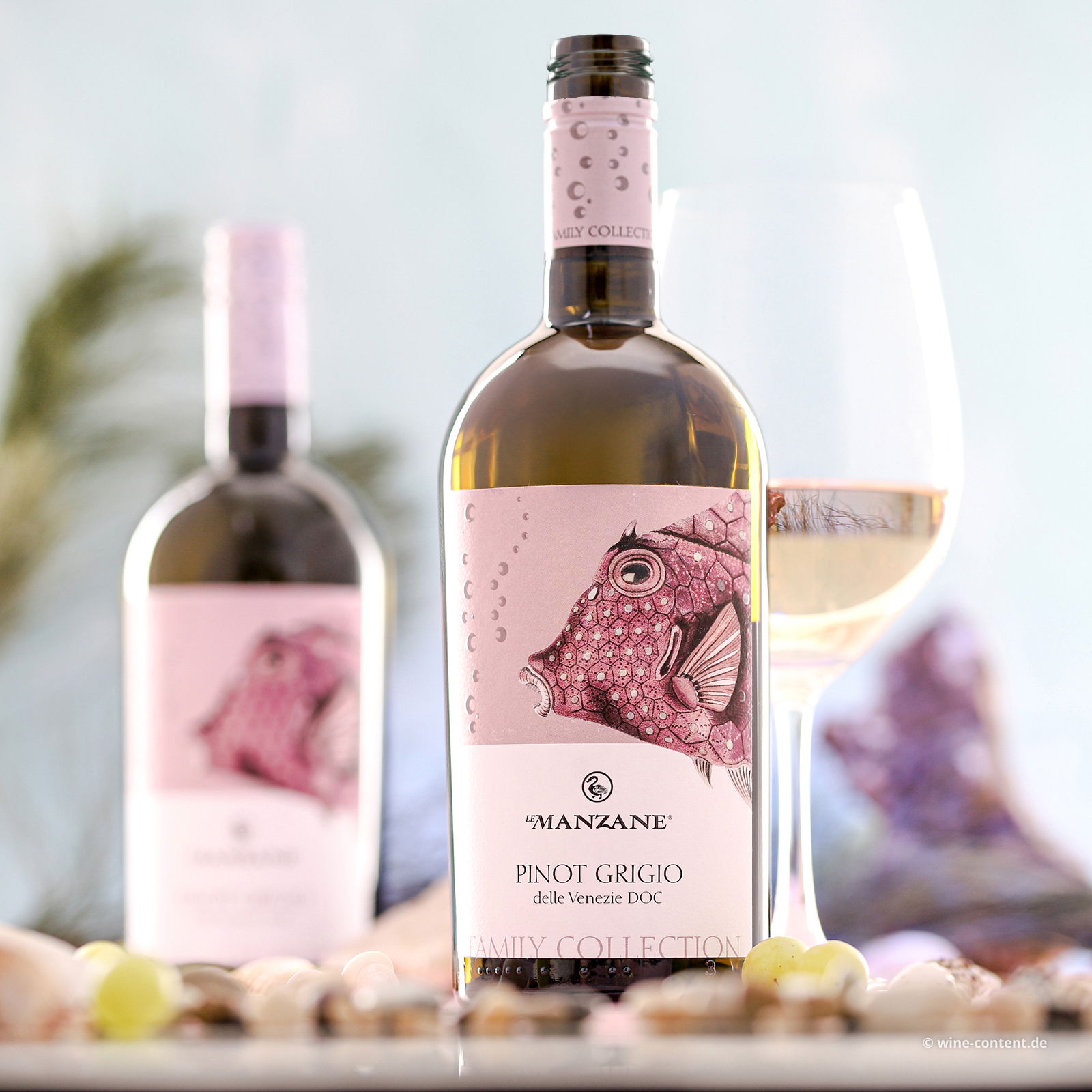 Pinot Grigio delle Venezie 2024