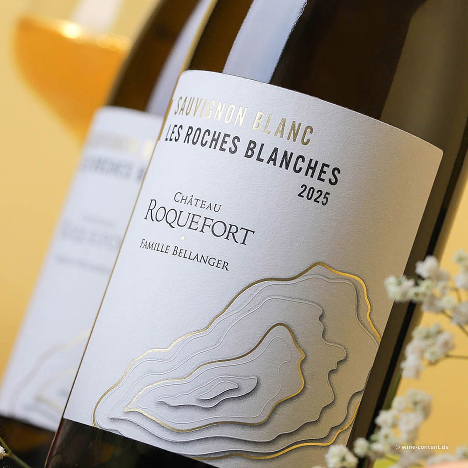 Sauvignon Blanc 2025 Les Roches Blanches Bio