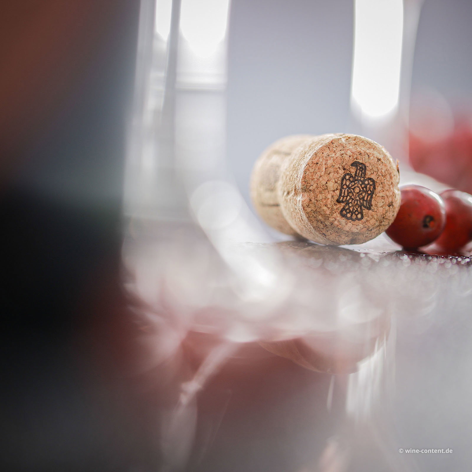 Crémant de Limoux Rosé Blason Rouge Brut