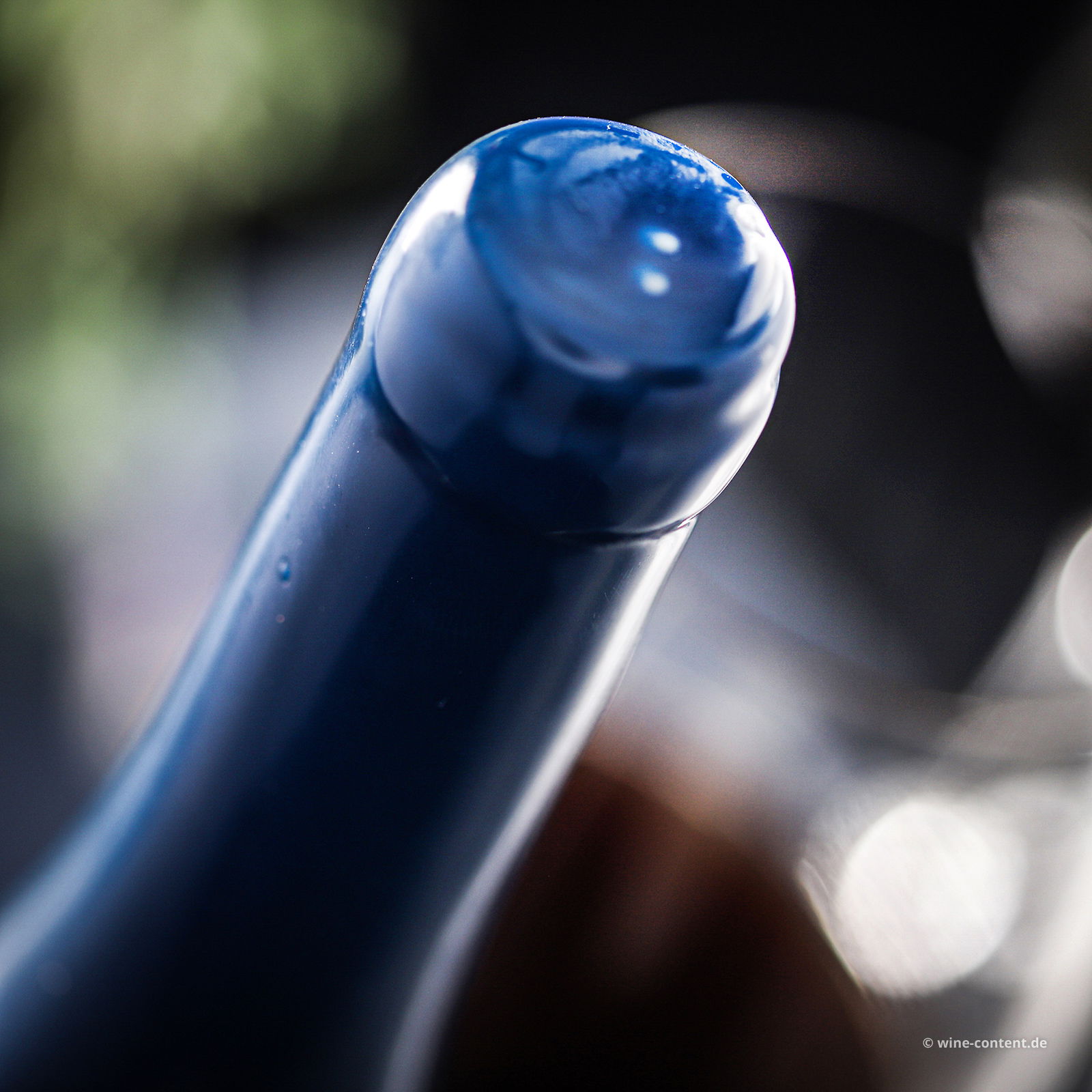 Vernatsch 2021 Hercules Hydra