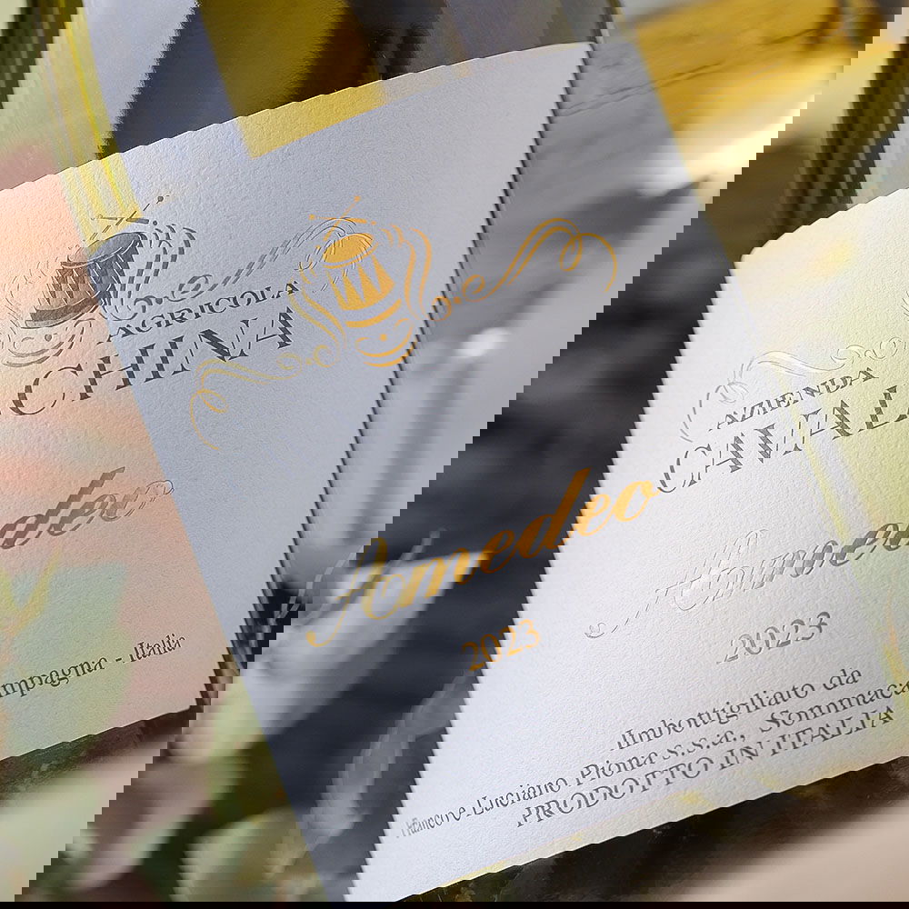 Custoza Superiore 2023 Amedeo
